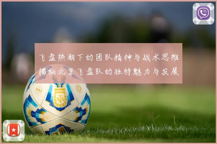 飞盘热潮下的团队精神与战术思维揭秘北京飞盘队的独特魅力与发展之路