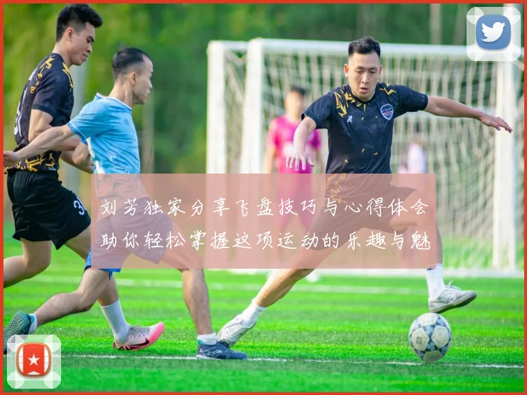 刘芳独家分享飞盘技巧与心得体会助你轻松掌握这项运动的乐趣与魅力